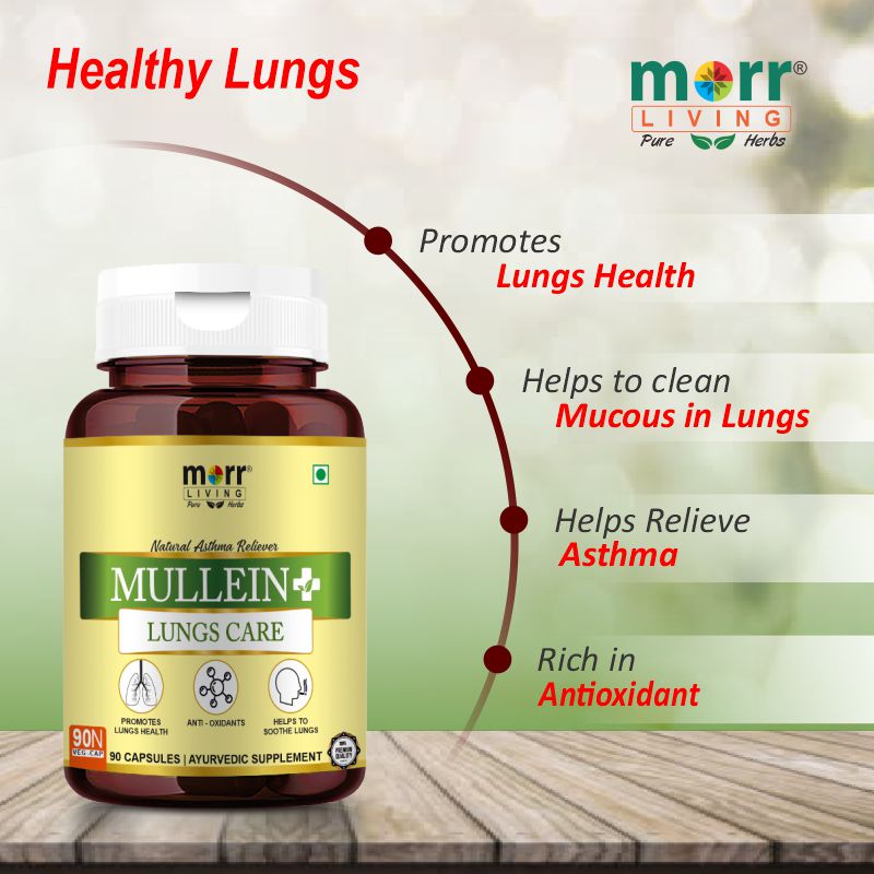 Benefits of Mullein in India